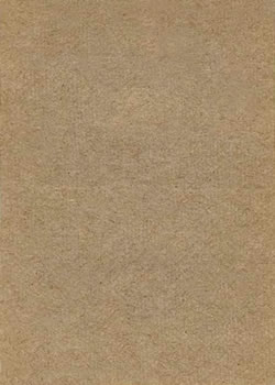 Ernie Banks  baseball card collectible - Main Image 2