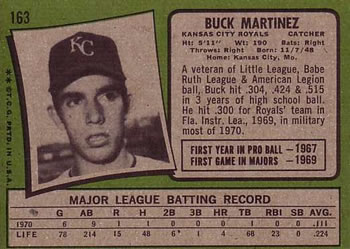 Buck Martinez  baseball card collectible - Main Image 2