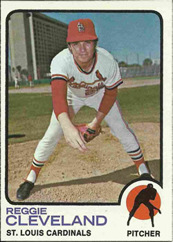 Twins 1971 Rookie Stars (Pete Hamm / Jim Nettles)