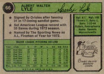 Sparky Lyle  baseball card collectible - Main Image 2