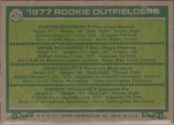 1977 Rookie Outfielders (Andre Dawson / Gene Richards / John Scott / Denny Walling)  baseball card collectible - Main Image 2