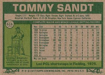 Tommy Sandt  baseball card collectible - Main Image 2