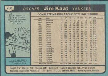 Jim Kaat  baseball card collectible - Main Image 2