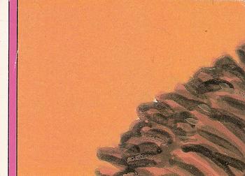 Slidin’ Sloan  gpk card collectible - Main Image 2