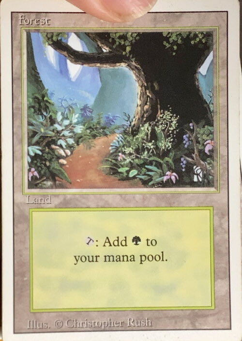 Forest  magic card collectible - Main Image 3