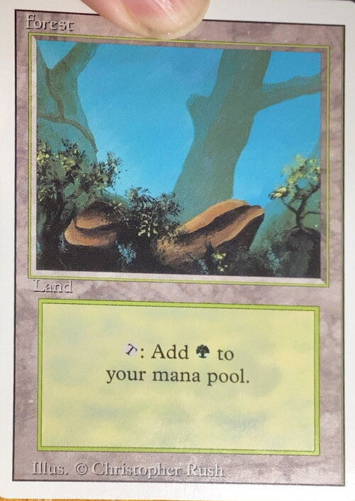 Forest  magic card collectible - Main Image 3