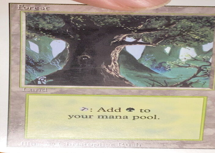 Forest  magic card collectible - Main Image 3
