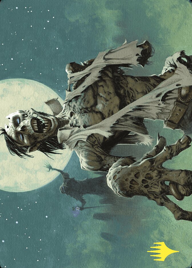 Tender Wildguide // Tender Wildguide