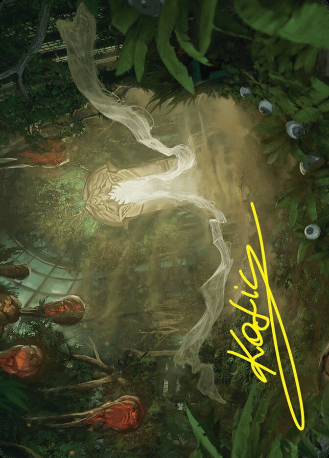 Rooftop Bypass // Rooftop Bypass