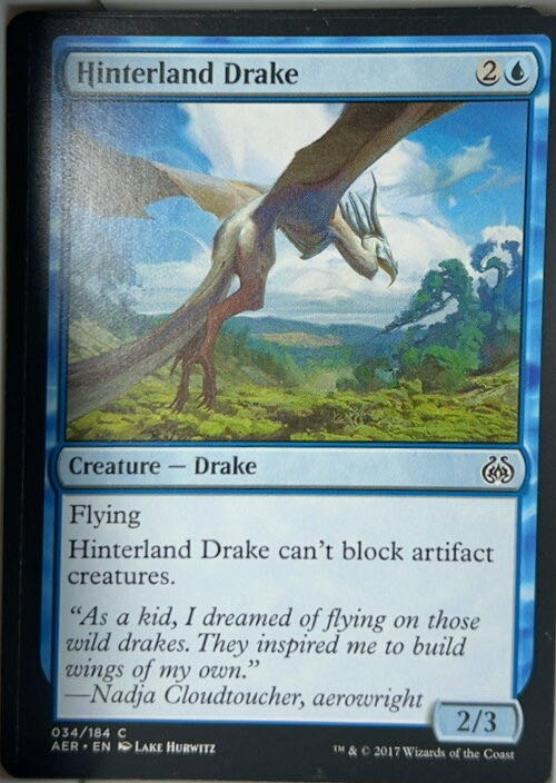 Hinterland Drake  magic card collectible - Main Image 2