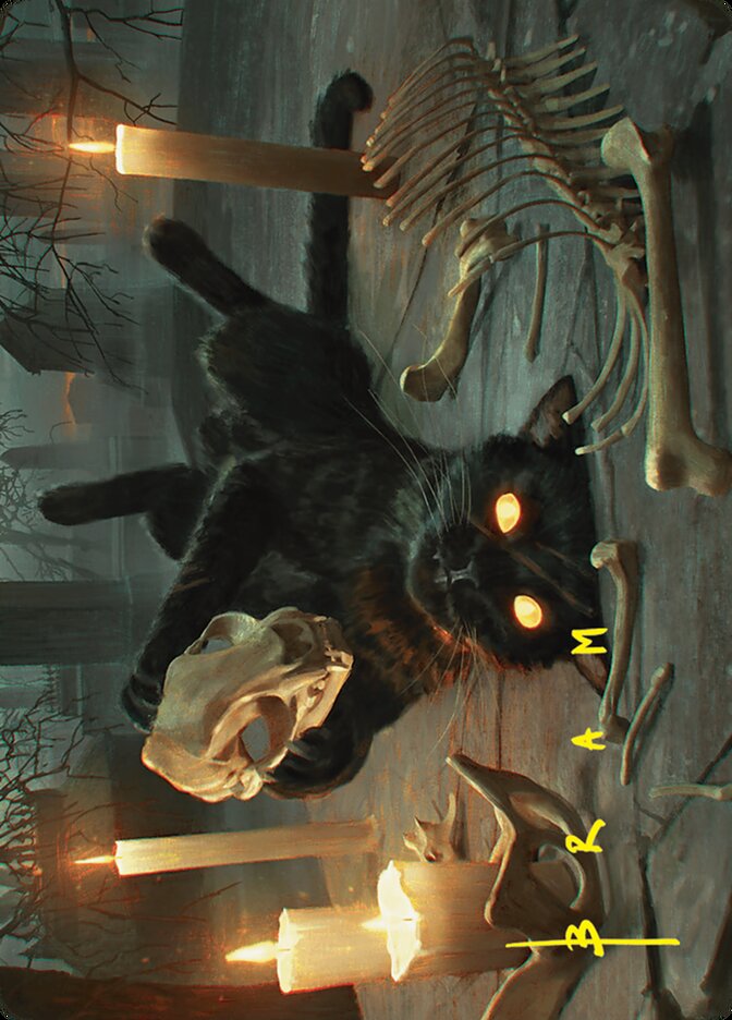 Sighted-Caste Sorcerer