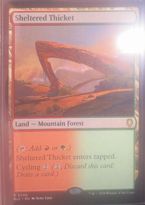 Sheltered Thicket  magic card collectible - Main Image 3