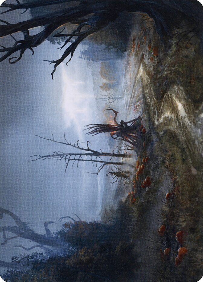 Hedge Whisperer // Hedge Whisperer