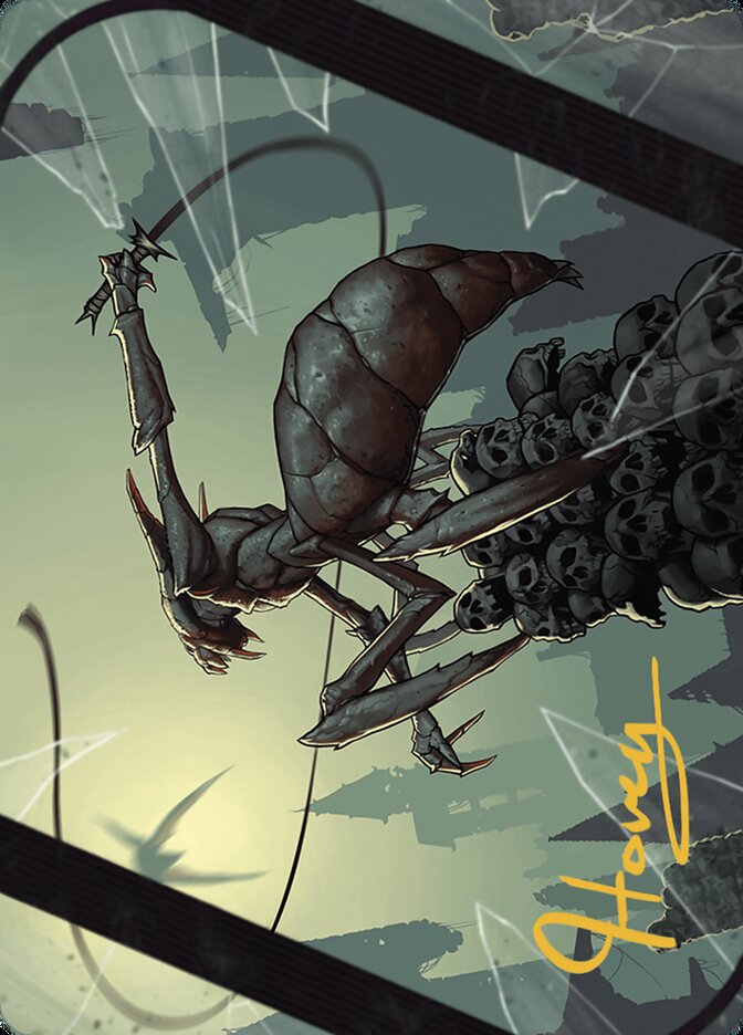 Canyon Crab // Canyon Crab