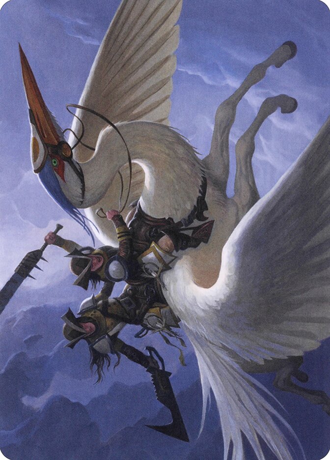 Elusive Otter // Elusive Otter