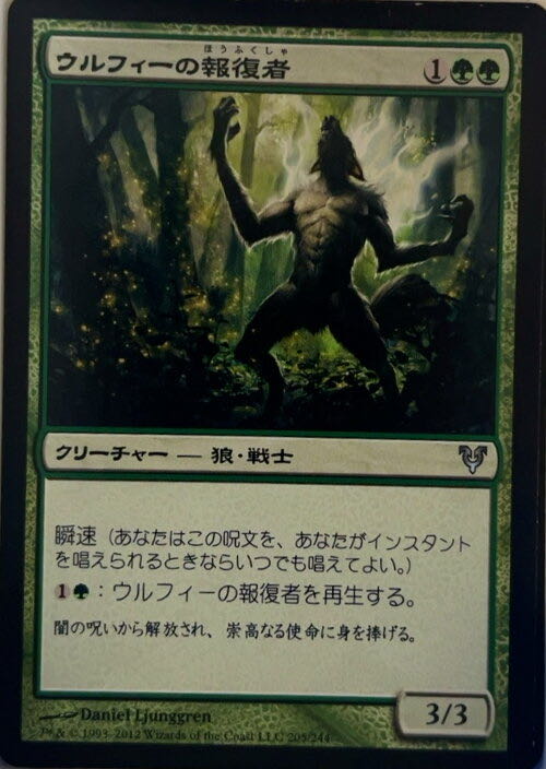 Wolfir Avenger  magic card collectible - Main Image 3