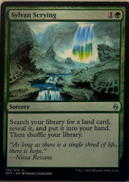 Sylvan Scrying  magic card collectible - Main Image 2