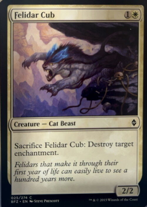 Felidar Cub  magic card collectible - Main Image 2