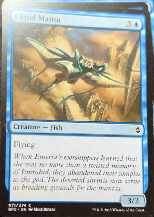 Unknown Card  magic card collectible - Main Image 2