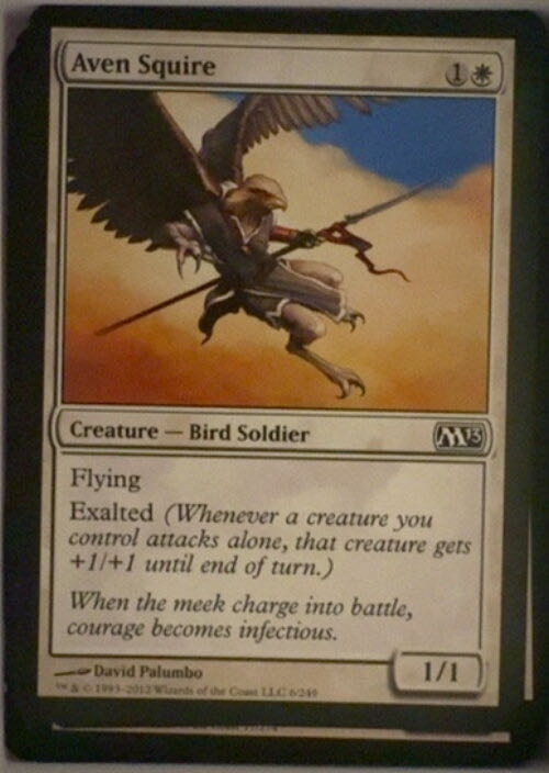 Aven Squire  magic card collectible - Main Image 2