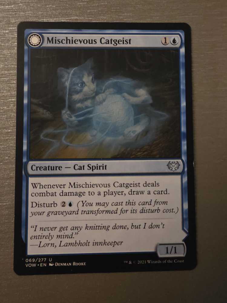 Mischievous Catgeist // Catlike Curiosity  magic card collectible - Main Image 2