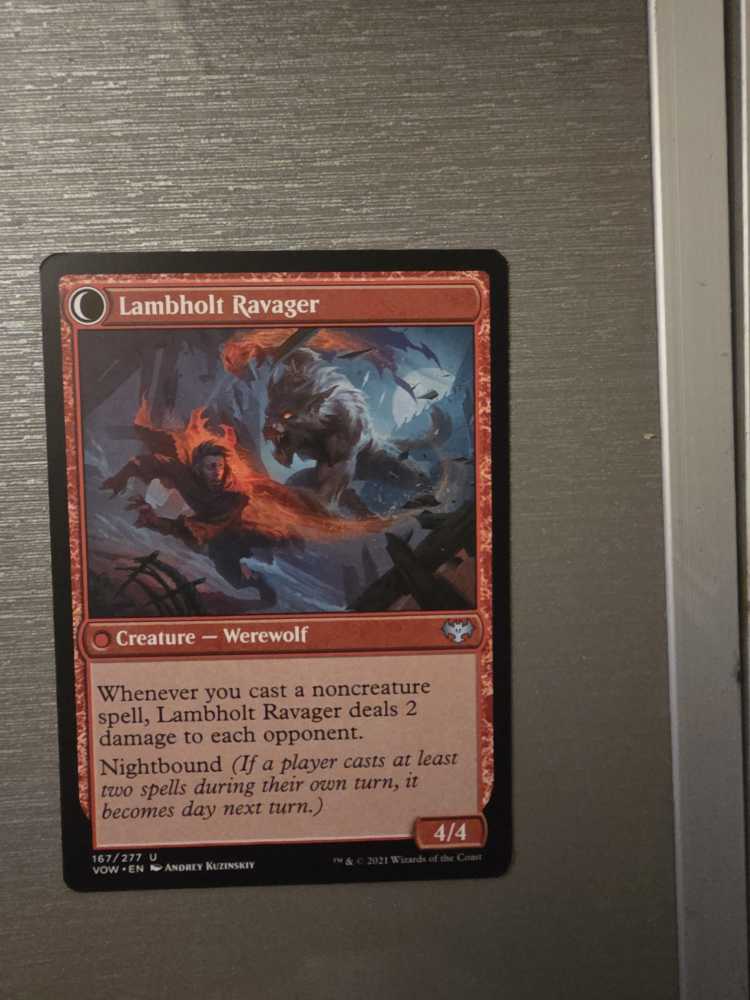 Lambholt Raconteur // Lambholt Ravager  magic card collectible - Main Image 3