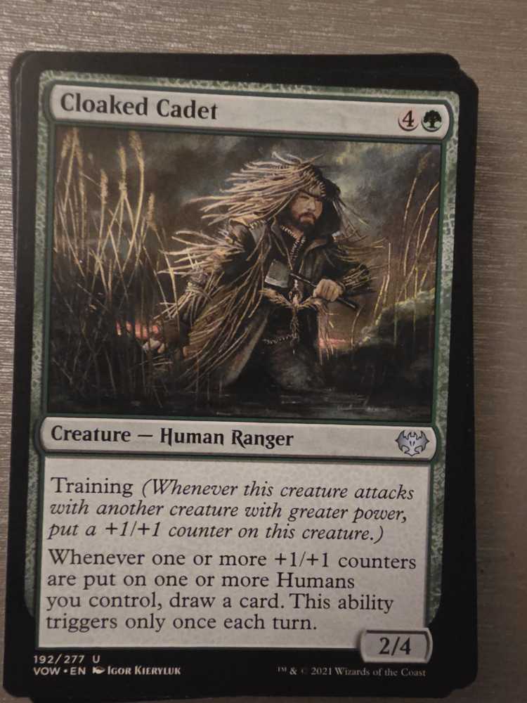 Cloaked Cadet  magic card collectible - Main Image 2