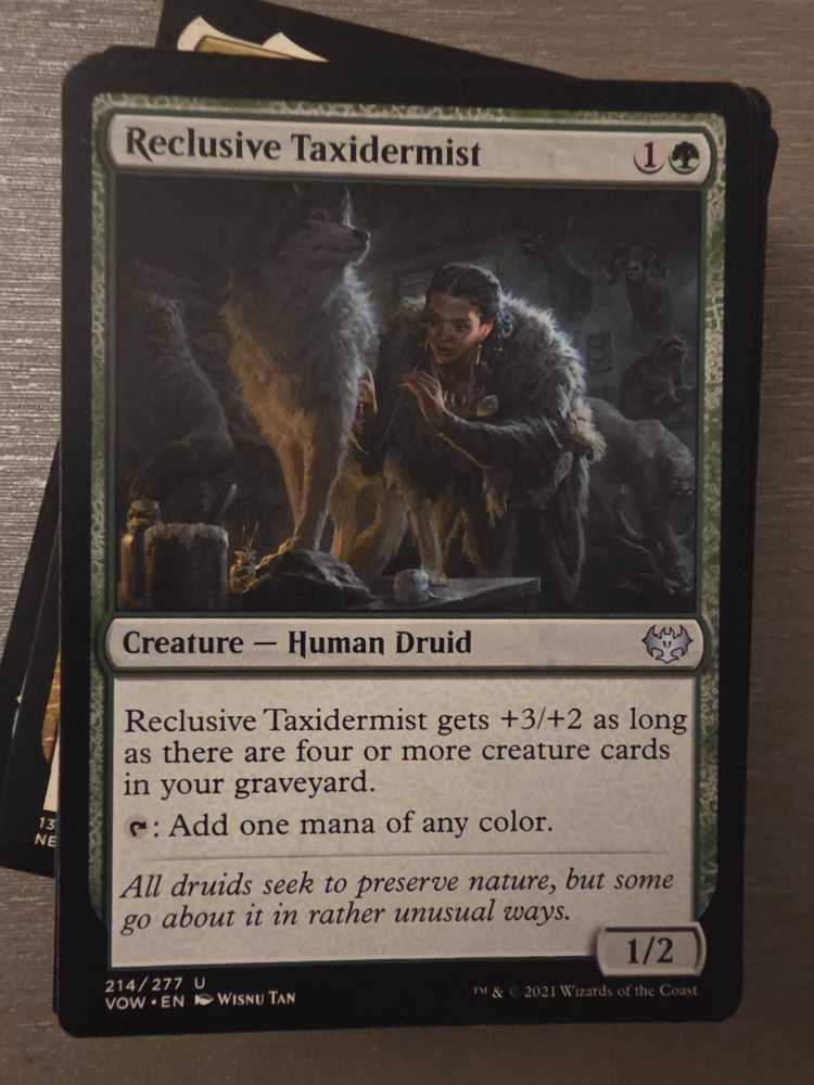 Reclusive Taxidermist  magic card collectible - Main Image 2