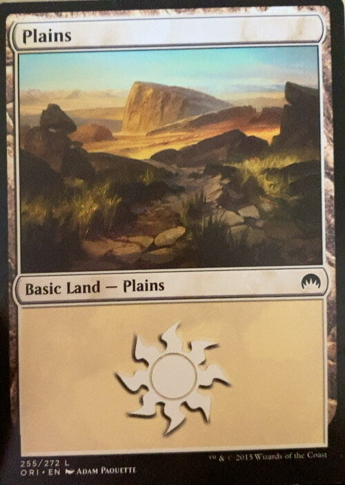 Plains  magic card collectible - Main Image 2