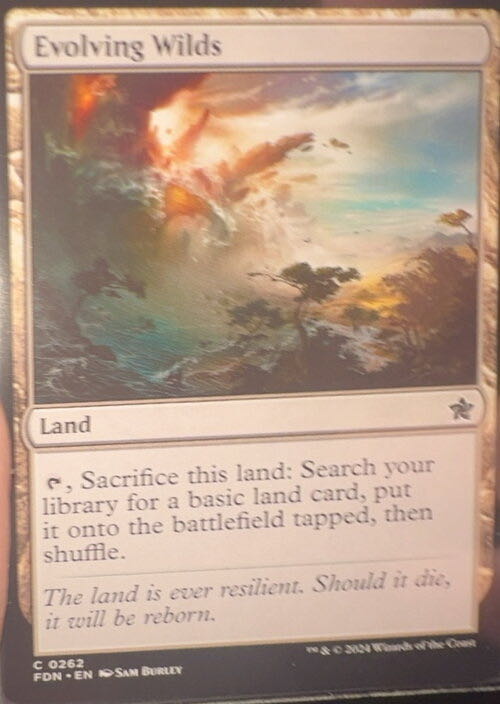 Evolving Wilds  magic card collectible - Main Image 3