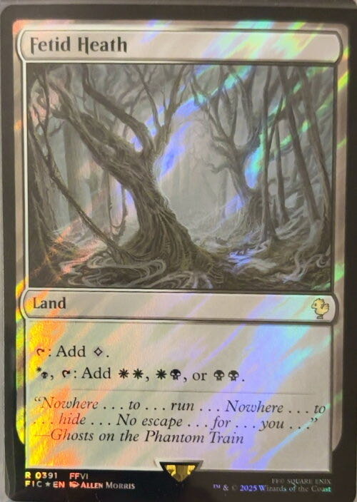 Fetid Heath  magic card collectible - Main Image 2