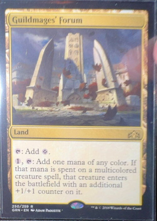 Guildmages’ Forum  magic card collectible - Main Image 2
