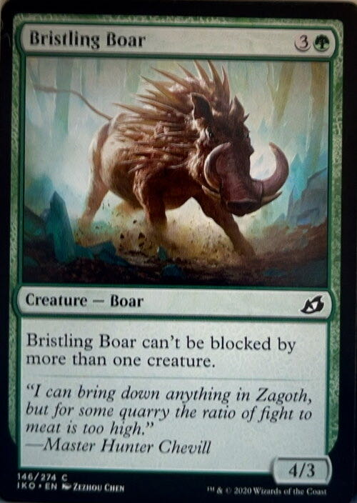 Bristling Boar  magic card collectible - Main Image 2