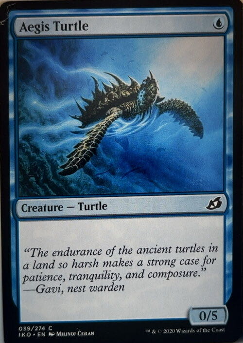 Aegis Turtle  magic card collectible - Main Image 2