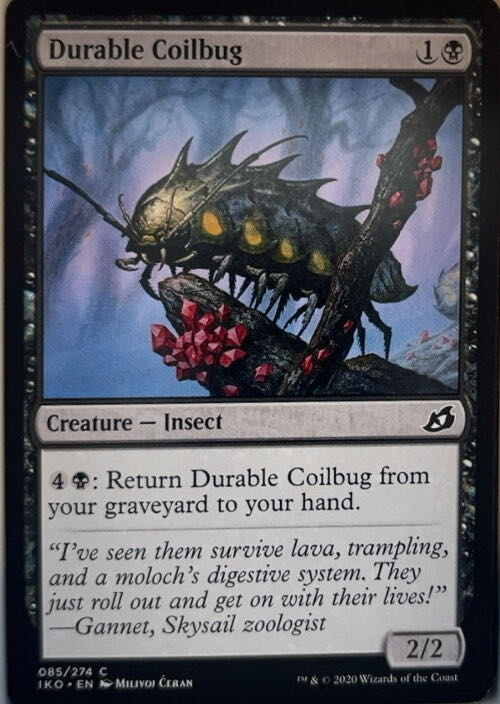 Durable Coilbug  magic card collectible - Main Image 2