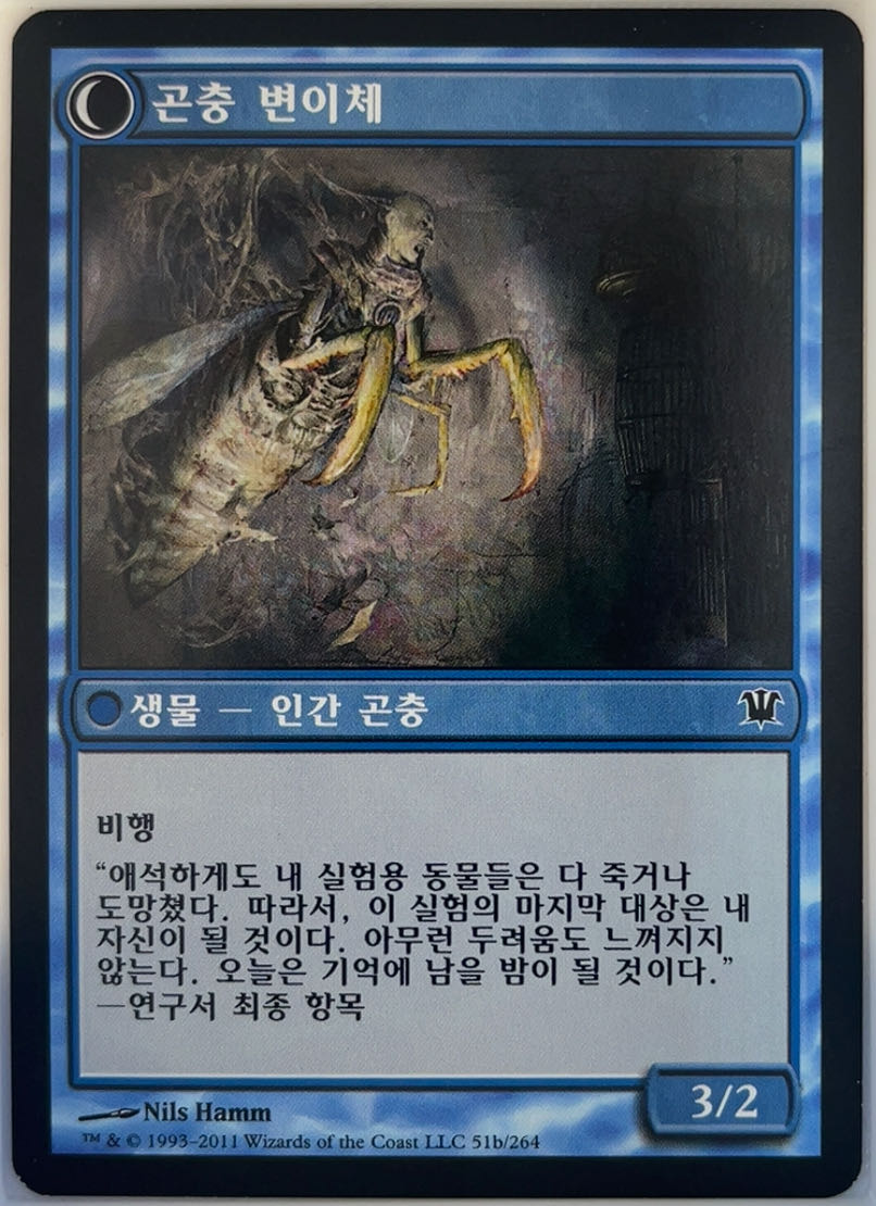 Delver of Secrets // Insectile Aberration  magic card collectible - Main Image 2