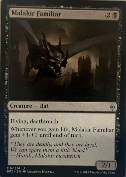 Malakir Familiar  magic card collectible - Main Image 3