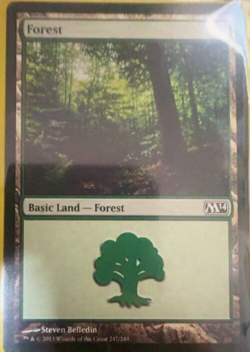 Unknown Card  magic card collectible - Main Image 3