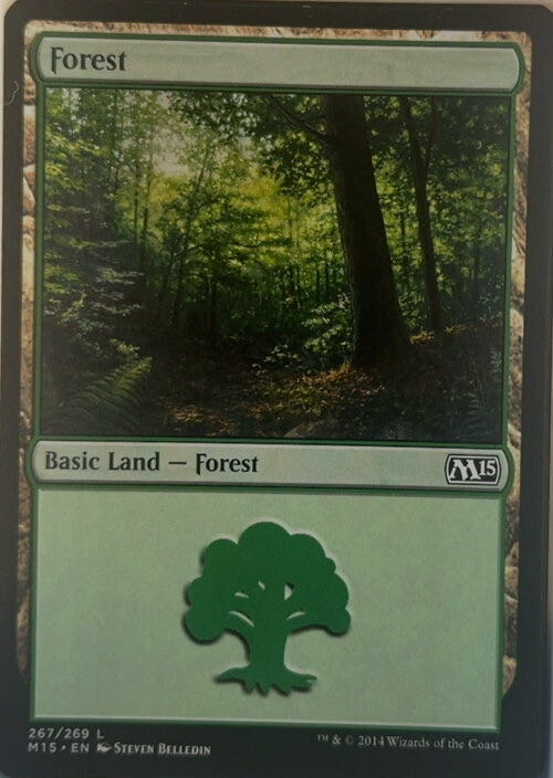 Forest  magic card collectible - Main Image 2