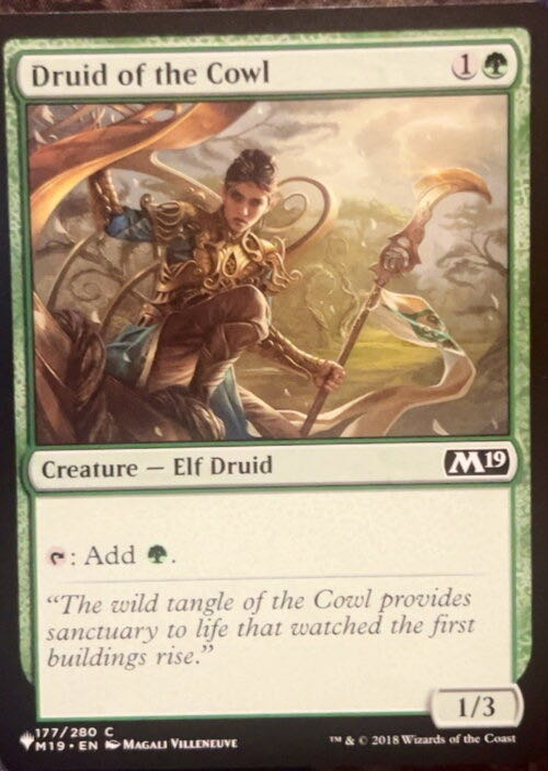 Druid of the Cowl  magic card collectible - Main Image 2