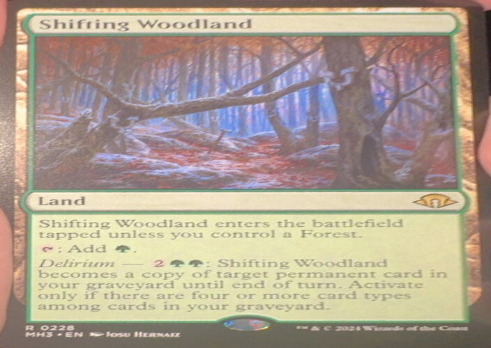 Shifting Woodland  magic card collectible - Main Image 3
