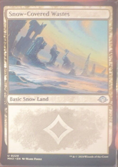 Snow-Covered Wastes  magic card collectible - Main Image 3