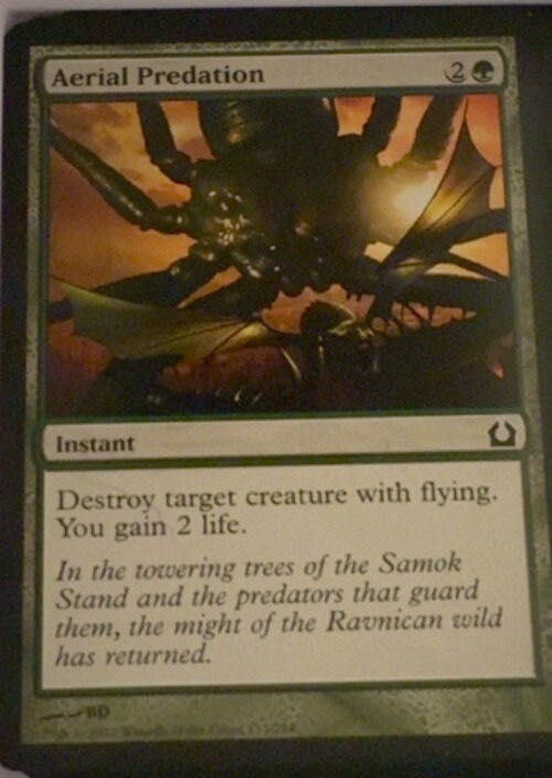 Aerial Predation  magic card collectible - Main Image 2