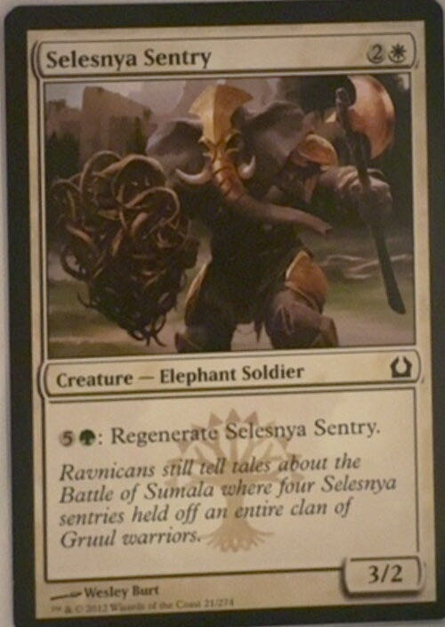 Selesnya Sentry  magic card collectible - Main Image 2