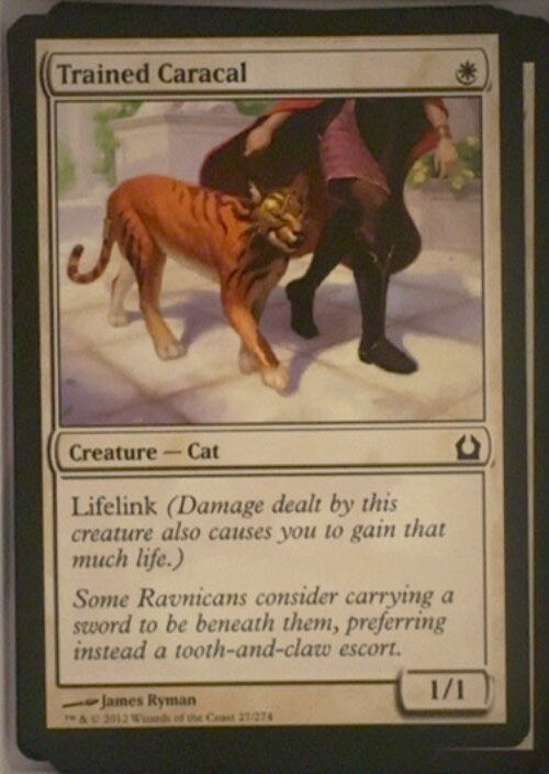 Trained Caracal  magic card collectible - Main Image 2