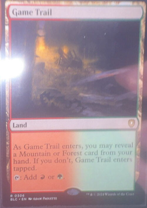 Game Trail  magic card collectible - Main Image 3