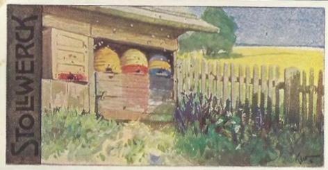 Goats on the Pasture