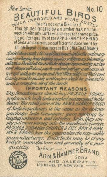 Crimson Topaz / Blue Tailed Sylph  other card collectible - Main Image 2