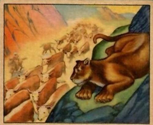 There are many artists who inire