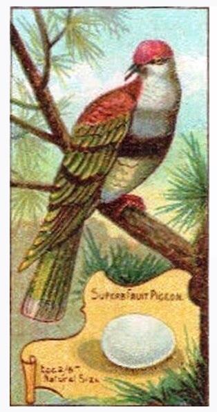 Gatefold      Nov. 1940